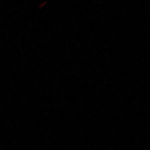 Meet your Posher, Cody